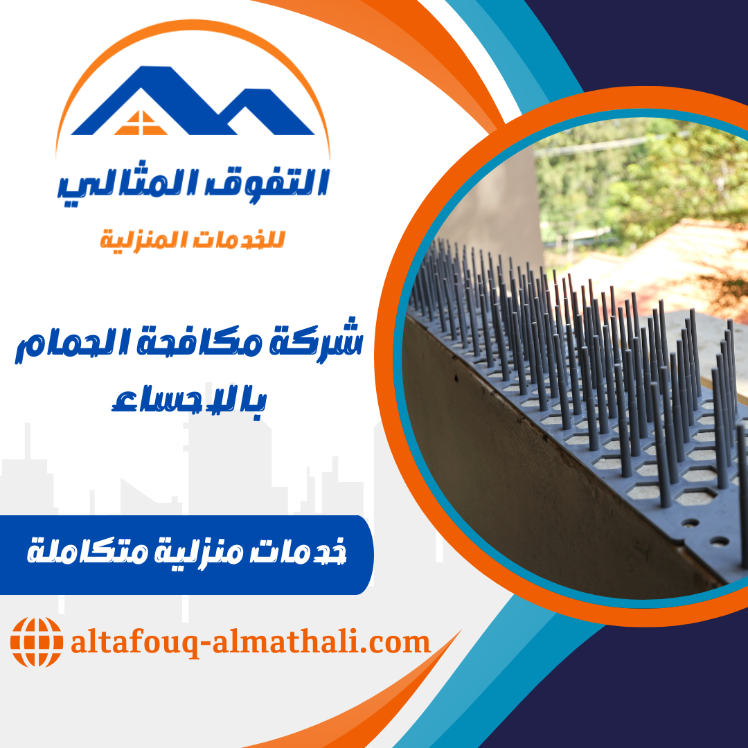 شركة مكافحة الحمام بالاحساء