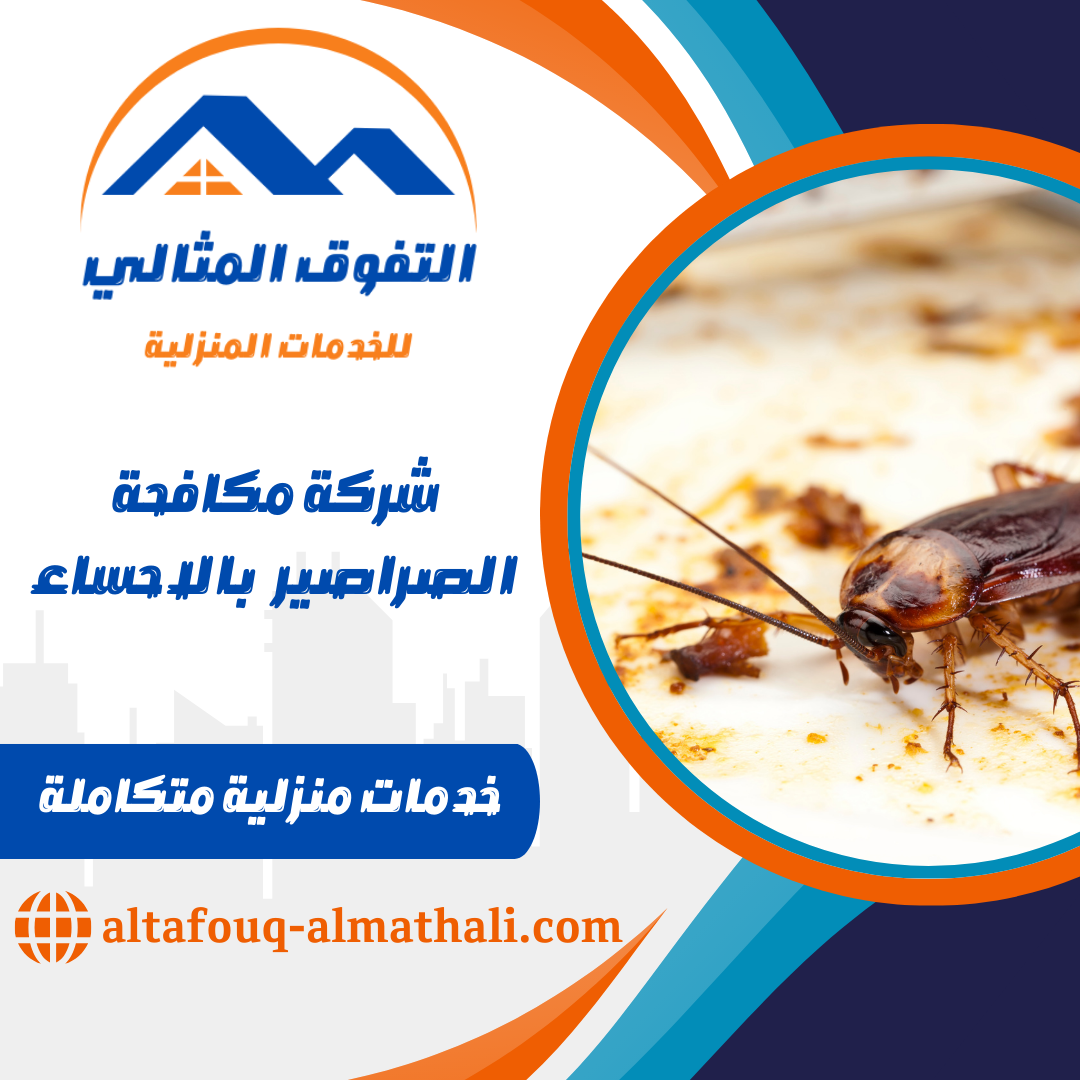 شركة مكافحة الصراصير بالاحساء