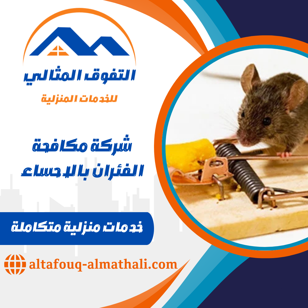 شركة مكافحة الفئران بالاحساء