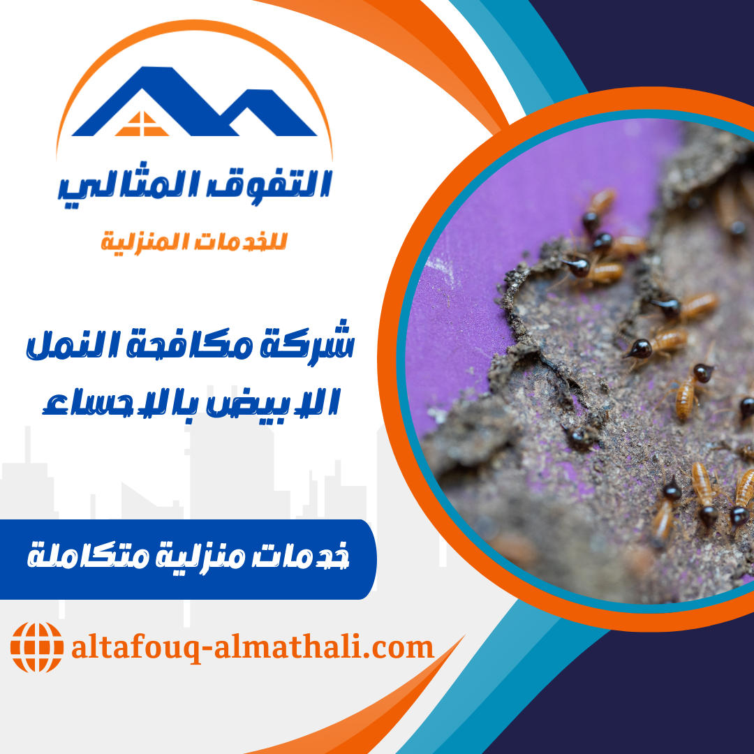 شركة مكافحة النمل الابيض بالاحساء