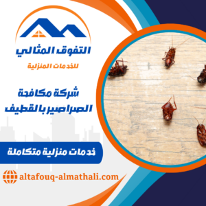 شركة مكافحة الصراصير بالقطيف