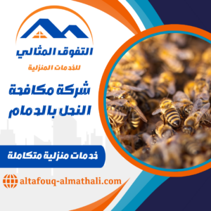 شركة مكافحة النحل بالدمام