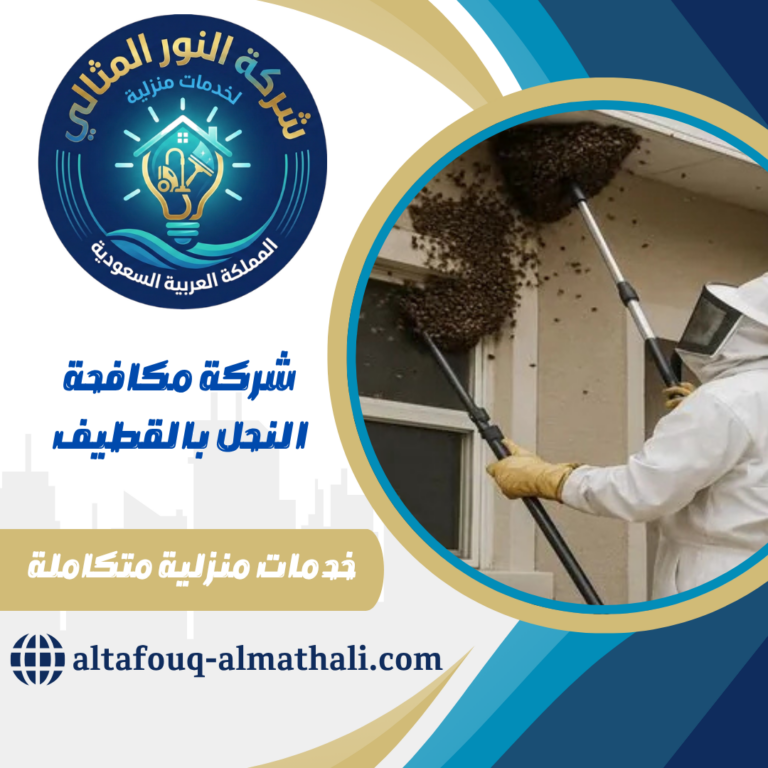 شركة مكافحة النحل بالقطيف